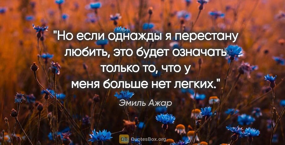 Эмиль Ажар цитата: "Но если однажды я перестану любить, это будет означать только..."