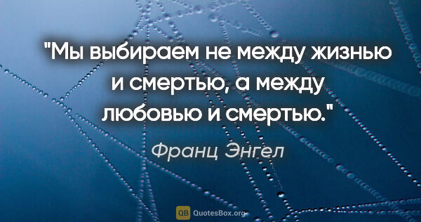 Франц Энгел цитата: "Мы выбираем не между жизнью и смертью, а между любовью и смертью."