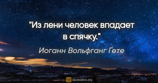 Иоганн Вольфганг Гете цитата: "Из лени человек впадает в спячку."