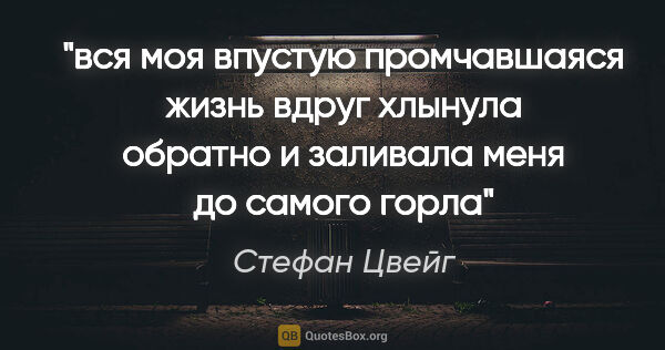 Стефан Цвейг цитата: "вся моя впустую промчавшаяся жизнь вдруг хлынула обратно и..."