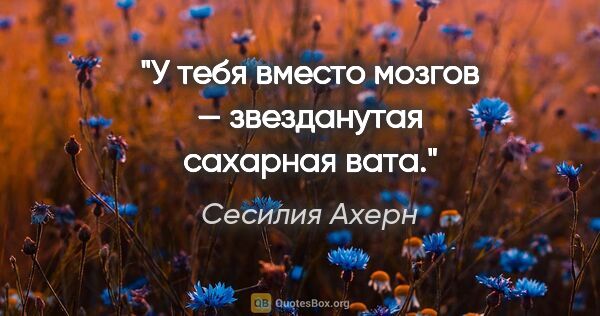 Сесилия Ахерн цитата: "У тебя вместо мозгов — звезданутая сахарная вата."