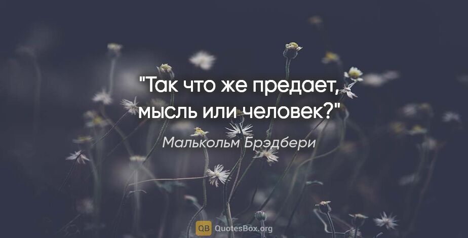 Малькольм Брэдбери цитата: "Так что же предает, мысль или человек?"