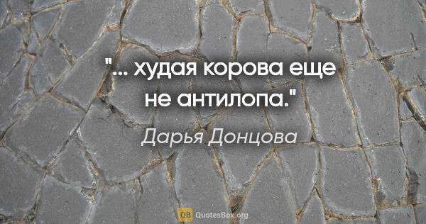 Дарья Донцова цитата: "... худая корова еще не антилопа."