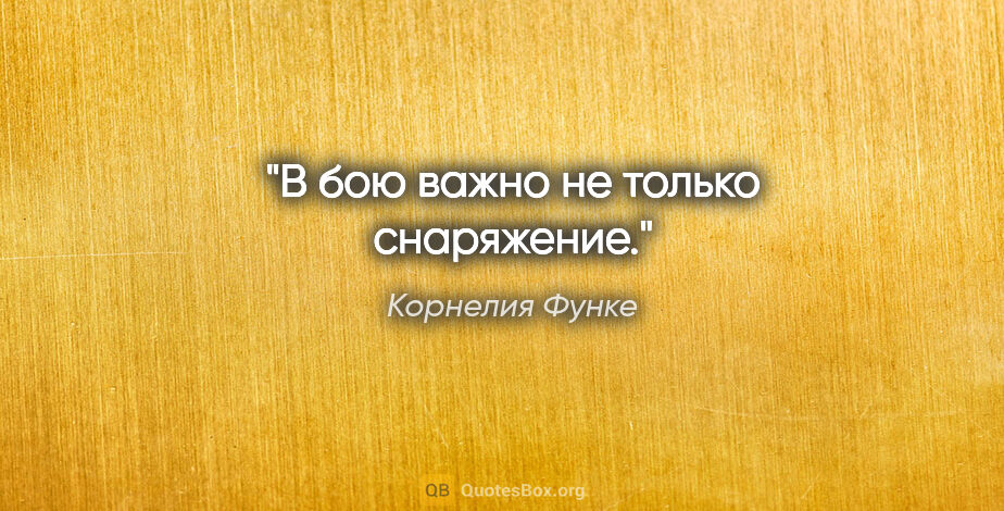 Корнелия Функе цитата: "В бою важно не только снаряжение."