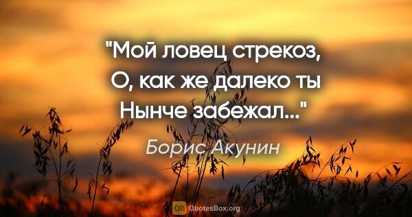 Борис Акунин цитата: "Мой ловец стрекоз, 

О, как же далеко ты

Нынче забежал..."