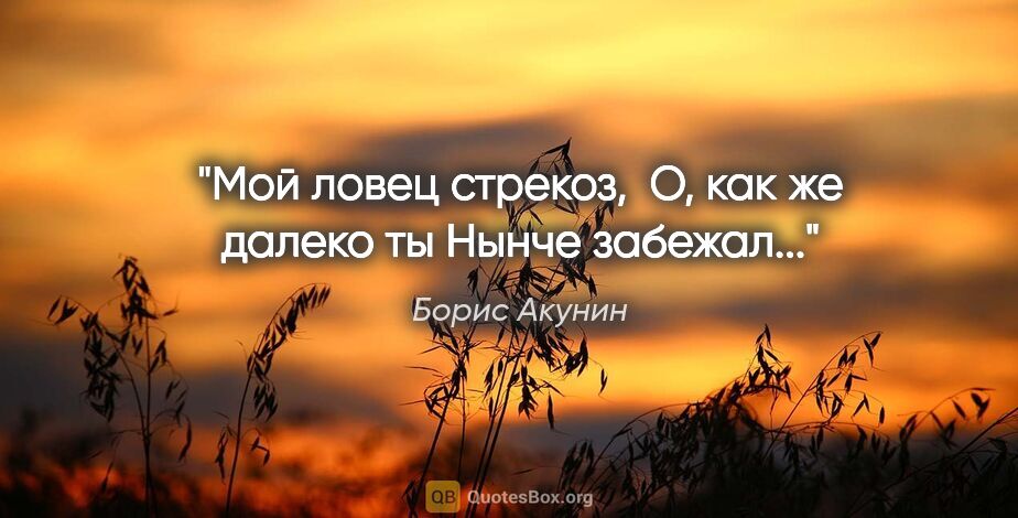 Борис Акунин цитата: "Мой ловец стрекоз, 

О, как же далеко ты

Нынче забежал..."