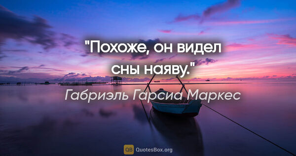 Габриэль Гарсиа Маркес цитата: "Похоже, он видел сны наяву."