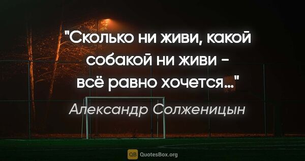 Александр Солженицын цитата: "Сколько ни живи, какой собакой ни живи - всё равно хочется…"