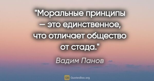 Вадим Панов цитата: "Моральные принципы — это единственное, что отличает общество..."