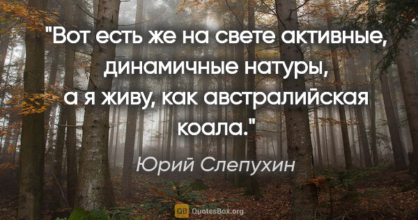 Юрий Слепухин цитата: "Вот есть же на свете активные, динамичные натуры, а я живу,..."