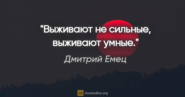 Дмитрий Емец цитата: "Выживают не сильные, выживают умные."