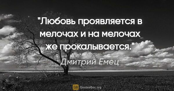 Дмитрий Емец цитата: "Любовь проявляется в мелочах и на мелочах же прокалывается."