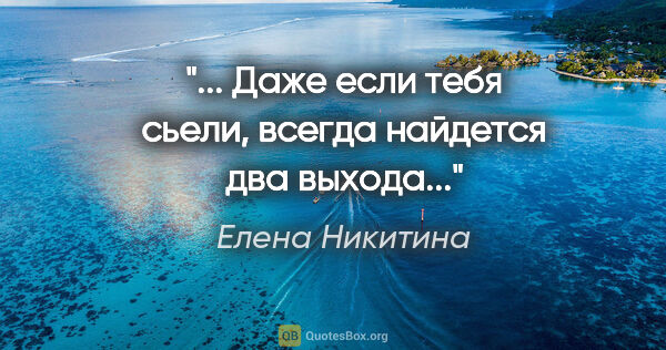 Елена Никитина цитата: "... Даже если тебя сьели, всегда найдется два выхода..."