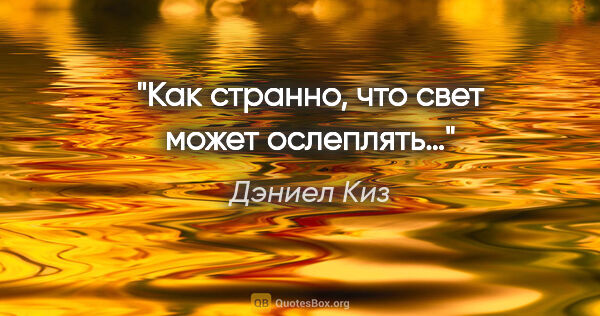 Дэниел Киз цитата: "Как странно, что свет может ослеплять…"