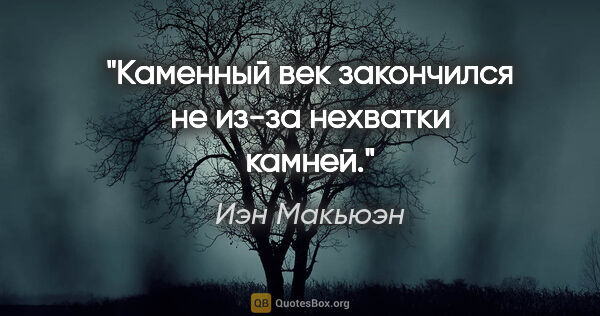 Иэн Макьюэн цитата: "Каменный век закончился не из-за нехватки камней."