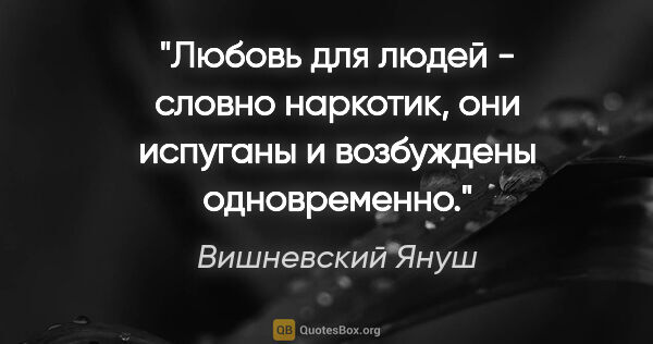 Вишневский Януш цитата: ""Любовь для людей - словно наркотик, они испуганы и возбуждены..."