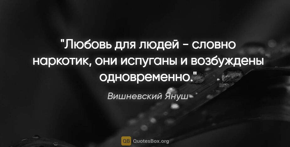 Вишневский Януш цитата: ""Любовь для людей - словно наркотик, они испуганы и возбуждены..."