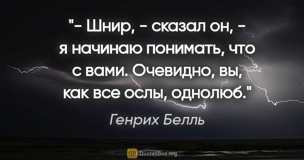 Генрих Белль цитата: "- Шнир, - сказал он, - я начинаю понимать, что с вами...."