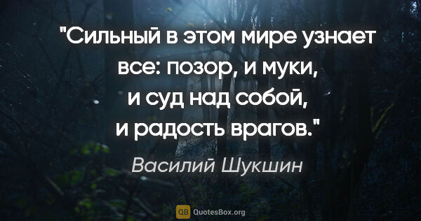 Василий Шукшин цитата: "Сильный в этом мире узнает все: позор, и муки, и суд над..."