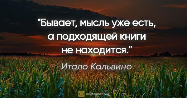 Итало Кальвино цитата: "Бывает, мысль уже есть, а подходящей книги не находится."