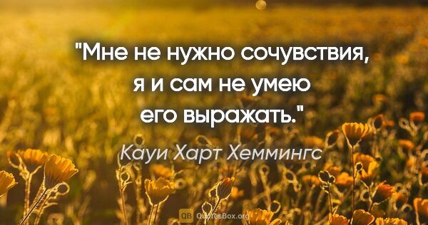 Кауи Харт Хеммингс цитата: "Мне не нужно сочувствия, я и сам не умею его выражать."