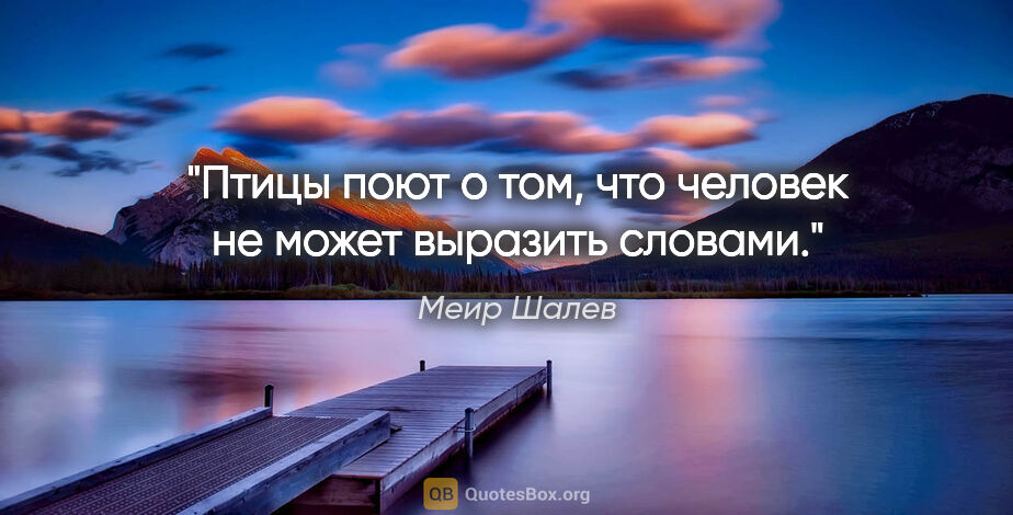 Меир Шалев цитата: "Птицы поют о том, что человек не может выразить словами."