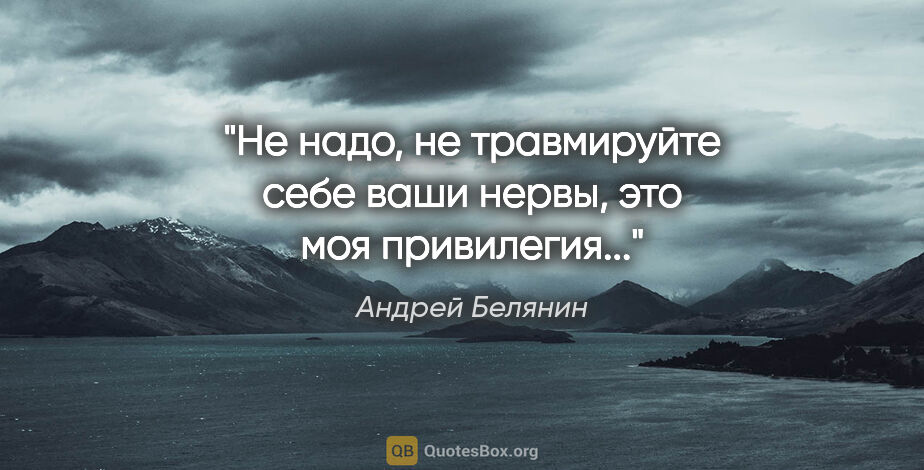 Андрей Белянин цитата: "Не надо, не травмируйте себе ваши нервы, это моя привилегия..."