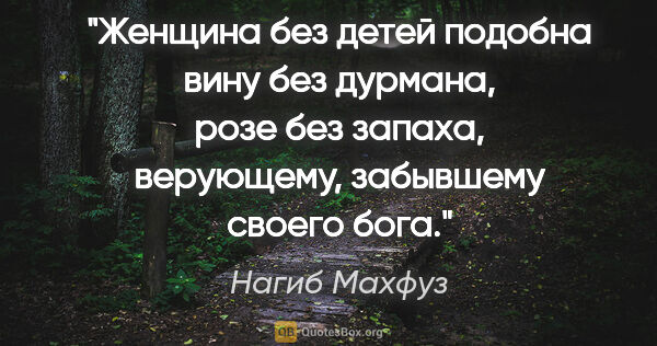 Нагиб Махфуз цитата: "Женщина без детей подобна вину без дурмана, розе без запаха,..."