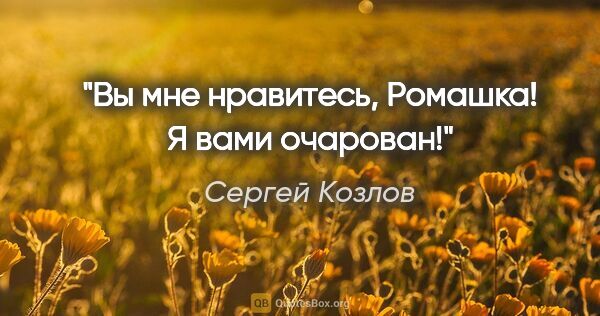 Сергей Козлов цитата: "Вы мне нравитесь, Ромашка! Я вами очарован!"