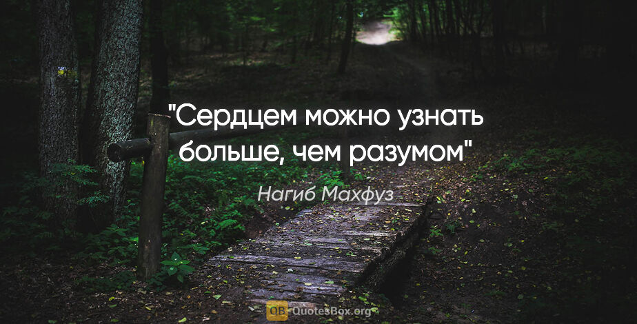 Нагиб Махфуз цитата: "Сердцем можно узнать больше, чем разумом"