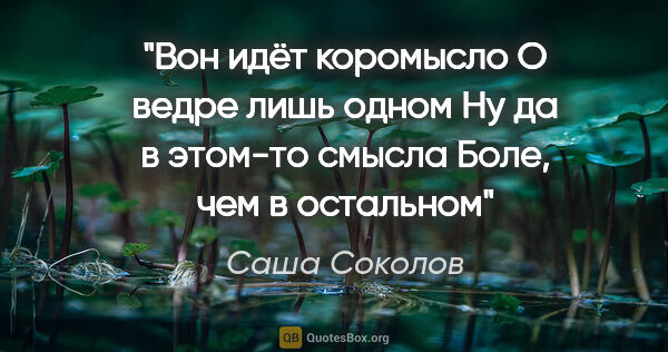 Саша Соколов цитата: "Вон идёт коромысло

О ведре лишь одном

Ну да в этом-то..."
