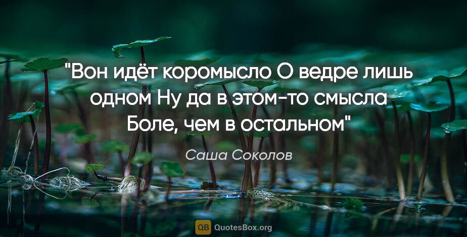 Саша Соколов цитата: "Вон идёт коромысло

О ведре лишь одном

Ну да в этом-то..."