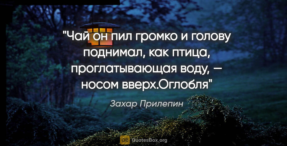 Захар Прилепин цитата: "Чай он пил громко и голову поднимал, как птица, проглатывающая..."