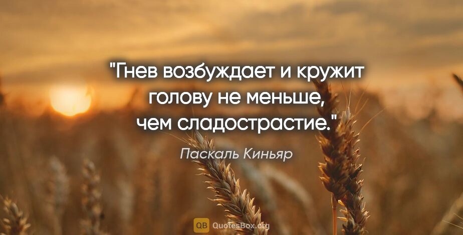 Паскаль Киньяр цитата: "Гнев возбуждает и кружит голову не меньше, чем сладострастие."