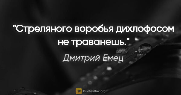 Дмитрий Емец цитата: "Стреляного воробья дихлофосом не траванешь."