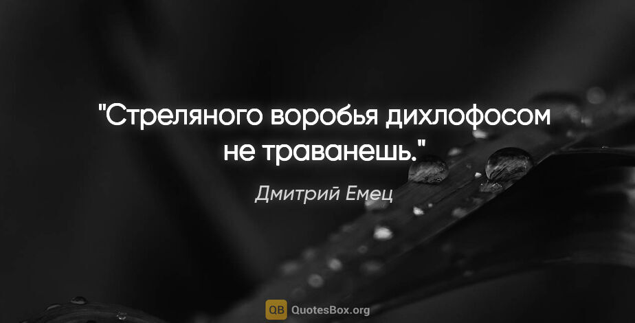 Дмитрий Емец цитата: "Стреляного воробья дихлофосом не траванешь."
