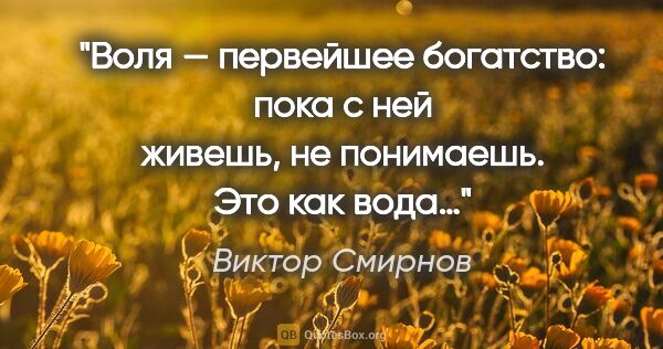 Виктор Смирнов цитата: "Воля — первейшее богатство: пока с ней живешь, не понимаешь...."
