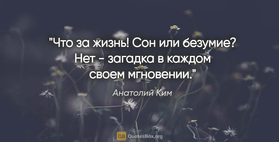 Анатолий Ким цитата: "Что за жизнь! Сон или безумие? Нет - загадка в каждом своем..."