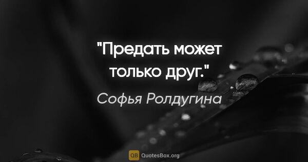 Софья Ролдугина цитата: "«Предать может только друг»."