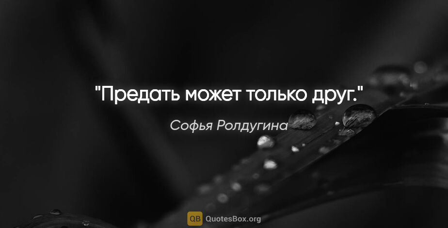 Софья Ролдугина цитата: "«Предать может только друг»."