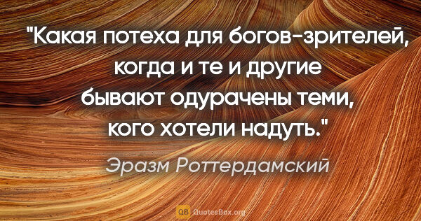 Эразм Роттердамский цитата: "Какая потеха для богов-зрителей, когда и те и другие бывают..."