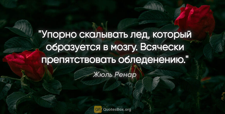 Жюль Ренар цитата: "Упорно скалывать лед, который образуется в мозгу. Всячески..."