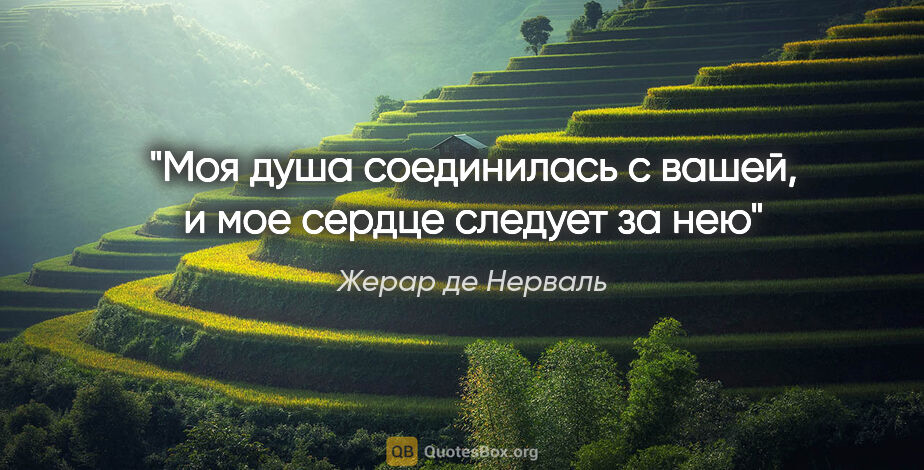 Жерар де Нерваль цитата: "Моя душа соединилась с вашей, и мое сердце следует за нею"