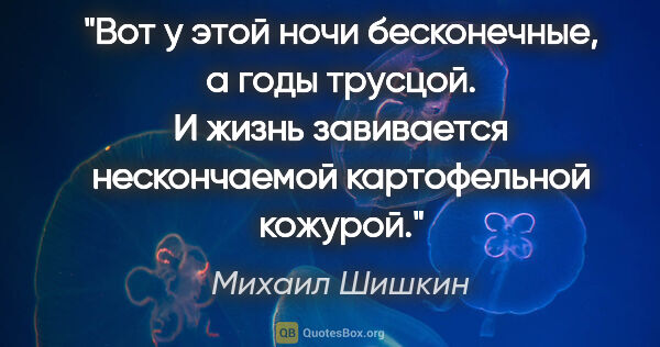 Михаил Шишкин цитата: "Вот у этой ночи бесконечные, а годы трусцой. И жизнь..."