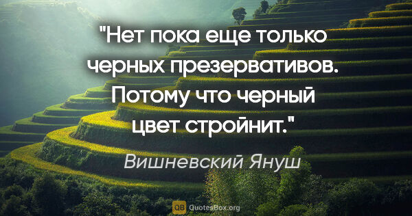 Вишневский Януш цитата: "Нет пока еще только черных презервативов. Потому что черный..."