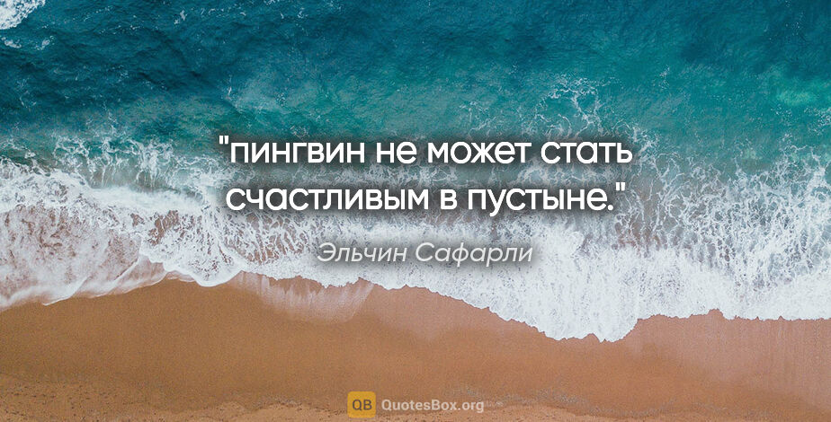 Эльчин Сафарли цитата: "пингвин не может стать счастливым в пустыне."