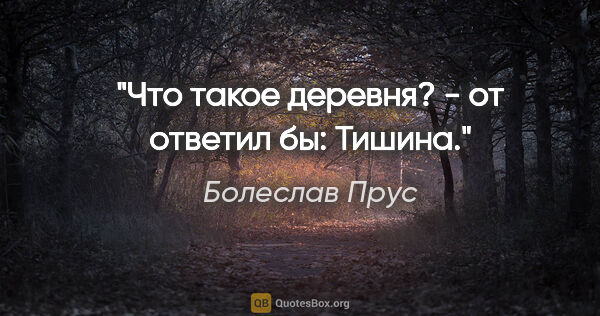 Болеслав Прус цитата: ""Что такое деревня?" - от ответил бы: "Тишина"."