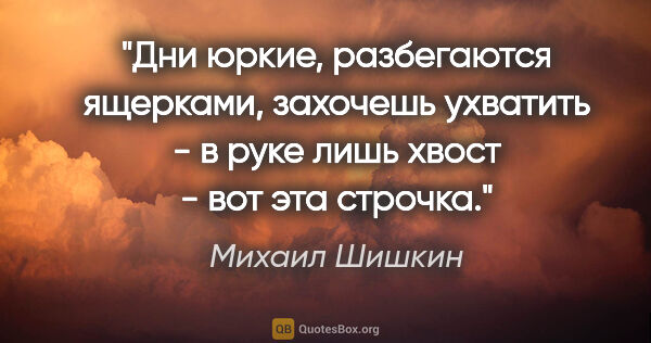 Михаил Шишкин цитата: "Дни юркие, разбегаются ящерками, захочешь ухватить - в руке..."