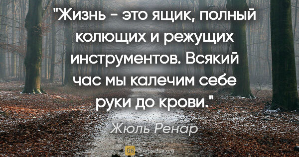 Жюль Ренар цитата: "Жизнь - это ящик, полный колющих и режущих инструментов...."