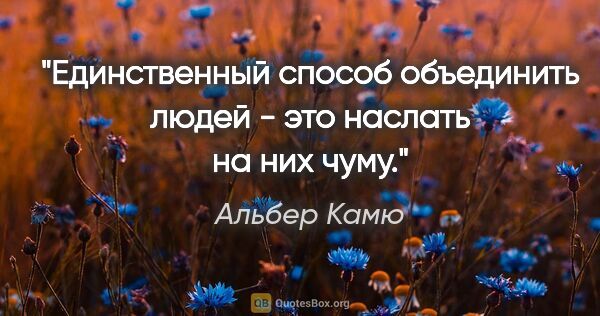 Альбер Камю цитата: "Единственный способ объединить людей - это наслать на них чуму."